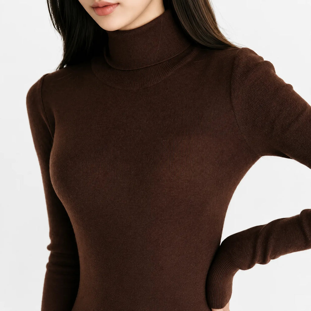 Belted Turtleneck Flared Sweater Dress